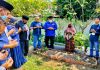 Ketua Pertama, Nasdem Sergai Ziarahi Makam M Thaib Ali