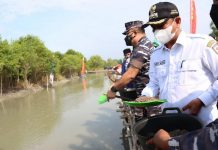 Bupati Sergai Dukung Lantamal I Belawan Bangun Kampung Bahari Nusantara