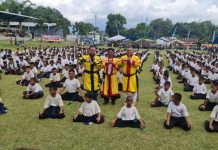 Jabat Penasehat Utama Perguruan Kungfu, Leo Situmorang Janji Majukan PKNSI