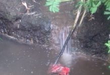 Limbah Ayam Dibuang Ke Sungai, Warga Kedung Banteng Ancam Tutup RPA