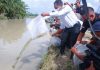 Gandeng RSI dan PWI, Pemkab Sergai Tabur 3000 Ekor Nila di Sungai Bedagai