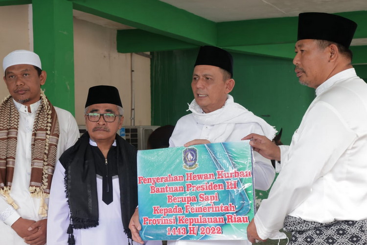 Masyarakat Anambas Bersukacita dapat Sapi Kurban dari Presiden