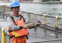Capai Standar Internasional Ikan Tilapia, RSI Diganjar Empat Kali Sertifikasi ASC