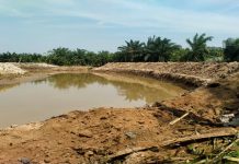 Normalisasi Sungai, Warga Sergai Minta Pemasangan Beronjong di 2 Pertemuan sungai