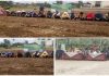Perdana, Camat Padang Sidempuan Lakukan Tanam Bawang Bersama Masyarakat