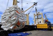 Jokowi: Impor untuk Stabilkan Harga