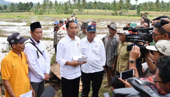 Joko Widodo Meninjau Lahan Persawahan Petani