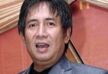 Mantan Politisi Demokrat Sys NS Meninggal Dunia
