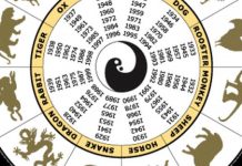 6 Shio yang Diprediksi Makin Kaya di 2018