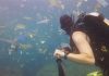 Miris! Kondisi Bawah Laut Nusa Penida Dipenuhi Sampah