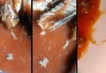 Ini Bahaya jika Makan Ikan Sarden Kalengan Terkontaminasi Cacing