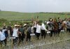 Mentan: Dorong Swasembada Bawang Putih, Stop Impor 2019