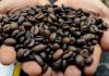 Nilai Transaksi Kopi RI di WoC Capai Rp 80 Miliar