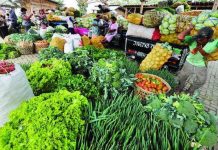 Sektor Pangan Sudah Menjadi Lahan Subur Korupsi