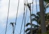 PLN Bangun Jaringan Listrik, Long Ikis Kembali Bergeliat