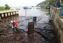 Ribuan Mangrove Terancam Mati Akibat Tumpahan Minyak Pertamina