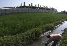 Cegah Alih Fungsi Lahan, Pemerintah Resmi Terbitkan Perpres