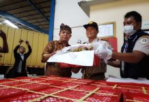 Manggis Ditargetkan Akan Ekspor 20 Ribu Ton Secara langsung Ke Cina