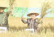 Bupati Bogor: Program Upsus Pajale Sejahterakan Masyarakat