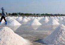 Harga Garam Anjlok, Pemerintah Lakukan Diskusi Tertutup