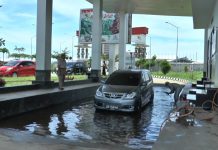Hindari Penyakit Tumbuhan, Mobil Papua Nugini Masuk RI Wajib Car Wash