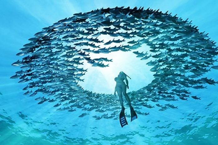 International Dive Expo (MIDE) 2018