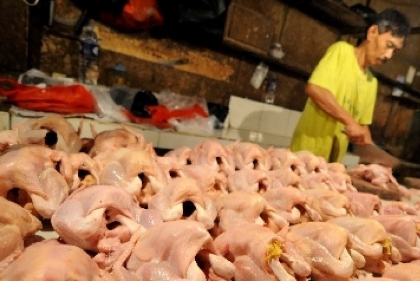Price of Chicken Meat Rising