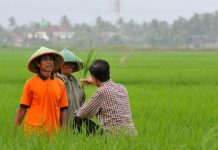 Mimpi RI Berdaulat Pangan, Induk KUD: Benahi Hulu hingga Hilir