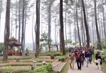 Cari Spot Instagramable? Coba ke Orchid Forest Lembang