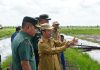Peringati Hari Pangan Sedunia Kelompok Tani Dan TNI Lomba Cetak Sawah