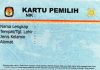KPU Pertimbangkan Kartu Pemilih Pengganti e-KTP di Pemilu