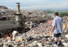 Jokowi Harus Stop Pembangunan PLTSa Sunter Jakarta