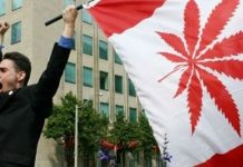 Rusia Kecam Kanada Legalkan Ganja