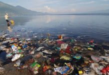 LIPI: Tahun 2050 Sampah Lebihi Jumlah Ikan