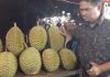 Surplus Durian, Kementan Akui Genjot Ekspor Neraca Perdagangan