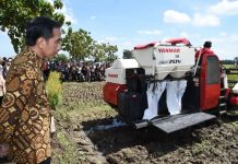 Jokowi Dorong Modernisasi Sektor Pertanian