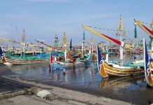 Dunia Kelautan Dinilai Sudah Saatnya Diisi Milenial