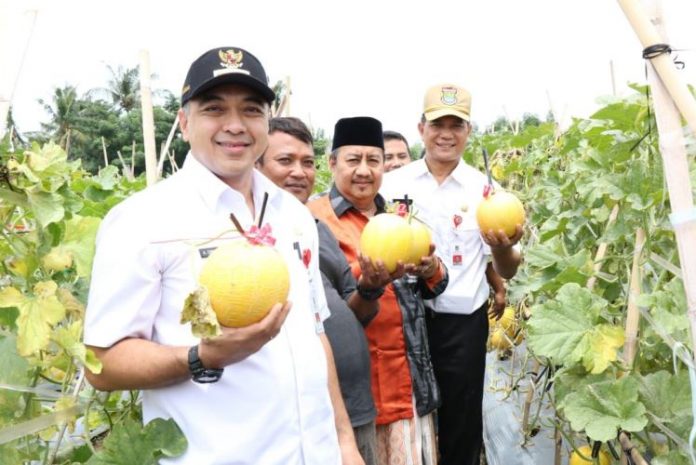 Zaki-Iskandar-Tangerang-Panen