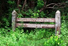 November 2019, Ujung Kulon Ditargetkan Jadi Geopark Nasional