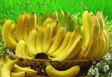 Ini Mamfaat Makan Pisang Bagi Orang yang Olahraga