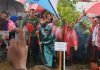 Ibu Negara Kampayekan Tanam Mangrove Sejuta Juta Pohon