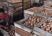 Operasi Pasar Ayam dan Telur Diserbu