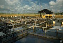 NTPi 2 Tahun Terakhir Alami Kenaikan Diatas 100 Persen