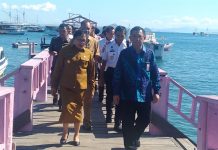 Pemerintah Serius Tanggulangi Dampak Bencana