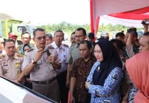 Sarang Walet jadi Andalan Ekspor Bengkulu