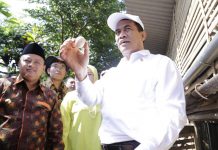 Mentan Klaim Indonesia Surplus Jagung