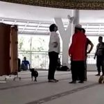 Perempuan bawa anjing ke dalam masjid
