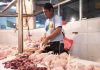 Harga Ayam di Peternak Mulai Naik