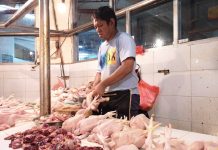 Harga Ayam di Peternak Mulai Naik