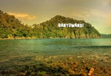 Ini Agenda Wisata Banyuwangi Sepanjang Juli 2019